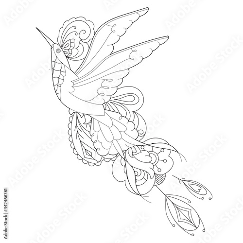 Contour linear illustration for coloring book. Beautiful tropical exotic bird,  anti stress picture. Line art design for adult or kids  in zentangle style and coloring page.