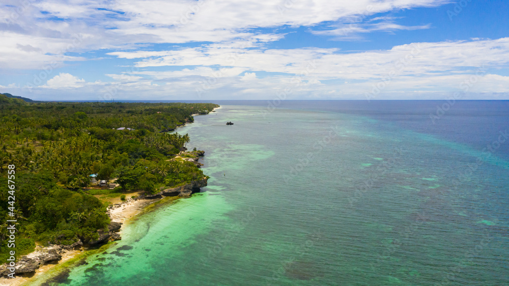 Beautiful tropical beach and turquoise water view from above. Bohol, Anda, Philippines. Summer and travel vacation concept.