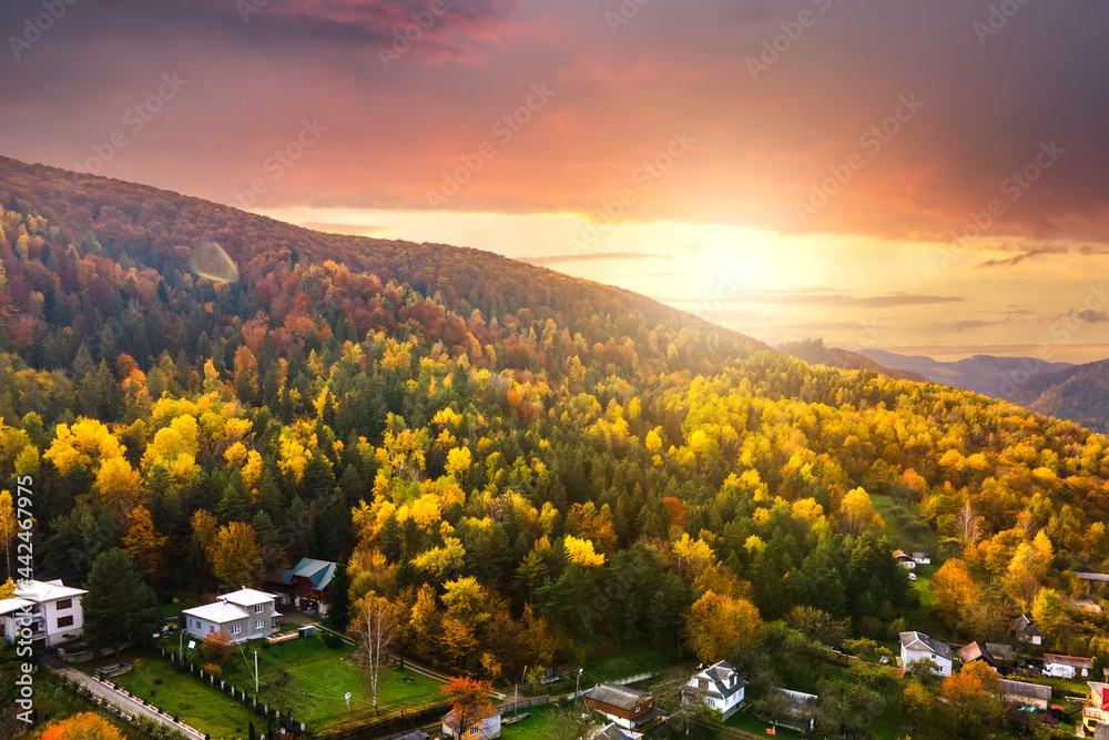 Aerial view of small shepherd houses on wide meadow between autumn forest in Ukrainian Carpathian mountains at sunset.