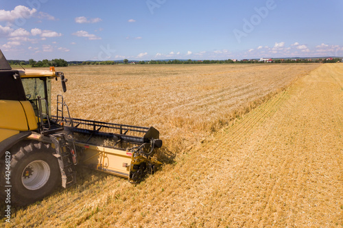 Aerial view of combine harvester harvesting large ripe wheat field. Agriculture from drone view.