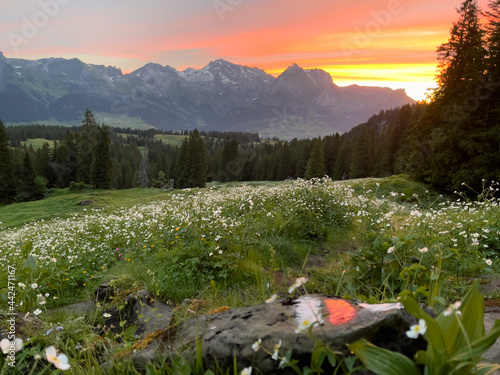 Schweiz Churfirsten Appenzellerland photo