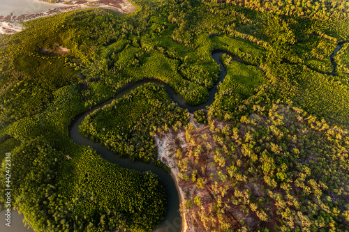 Remote wilderness northern Australia, watercourse and forest