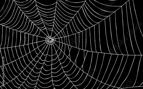 Spider web on black background with path