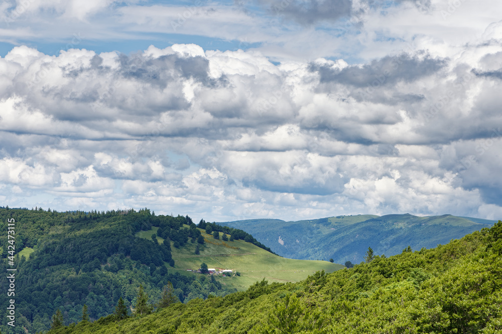 Fototapeta premium Paysage des Vosges