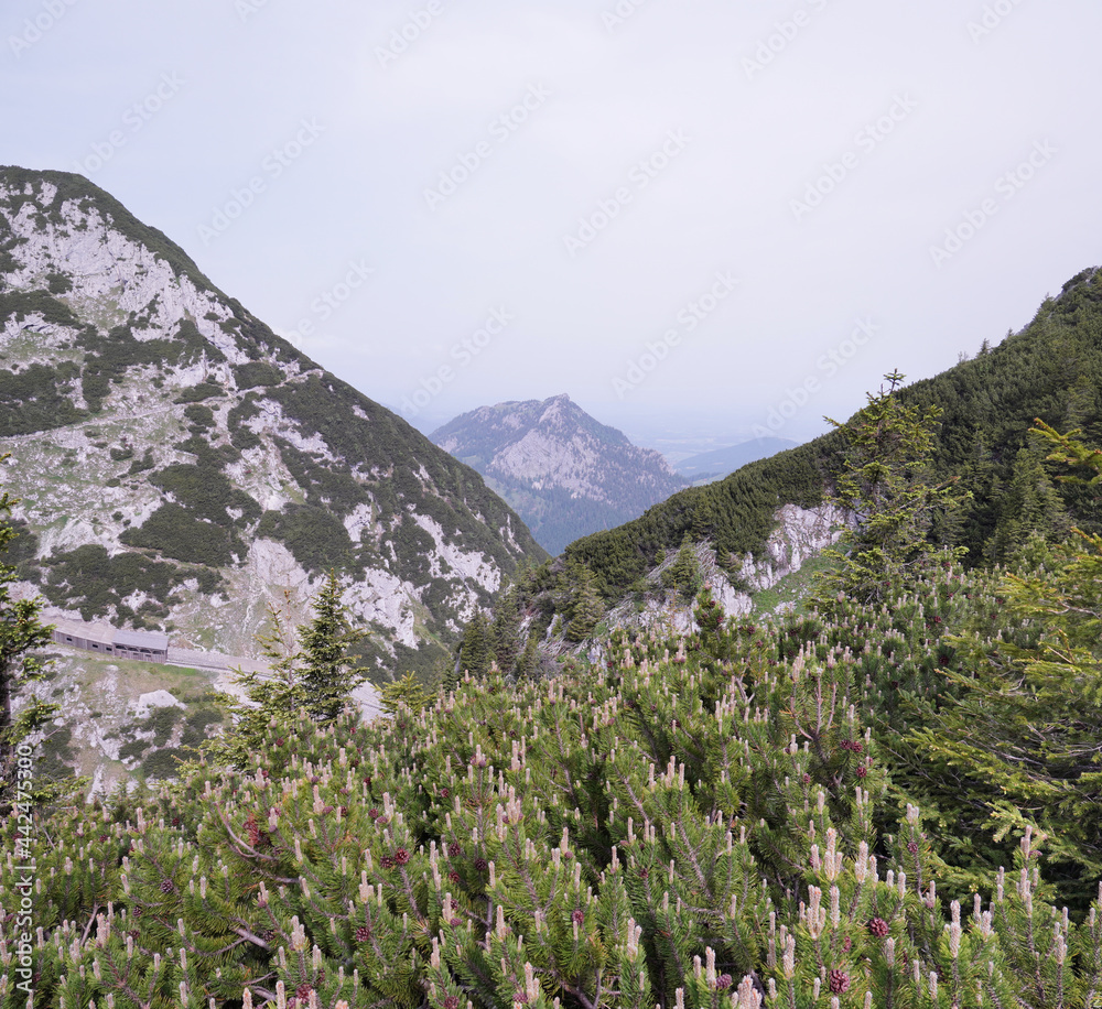 Fototapeta premium Wanderung am Wendelstein