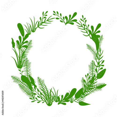 Vector plant frame, green plants leaves silhouettes, circle frame blank template isolated on white background.
