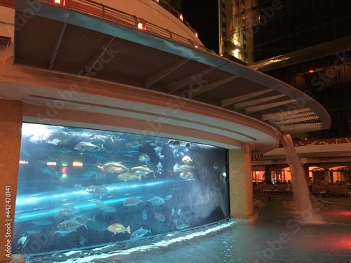 Giant aquarium at night