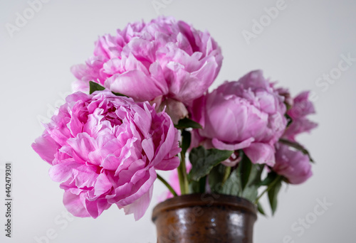 Beautiful bouquet of pink peonies in vase