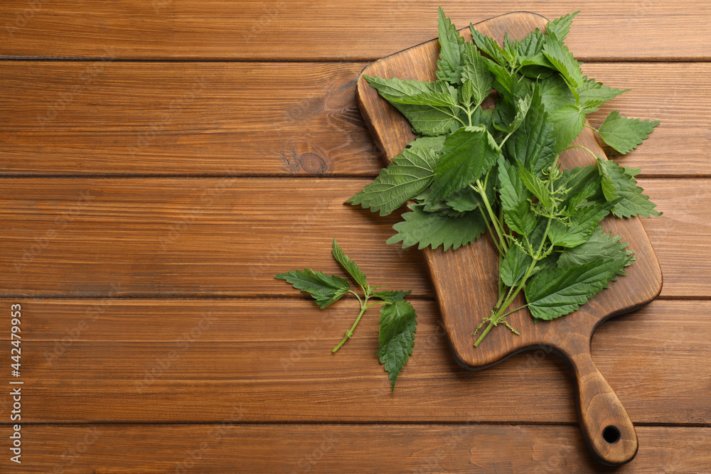 Fresh stinging nettle leaves on wooden table, flat lay. Space for text Fresh stinging nettle leaves on wooden table, flat lay. Space for text