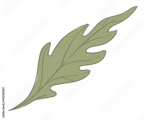 Leaf of plant, tree or shrubs natural foliage