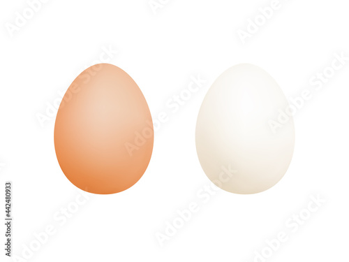 Realistic chicken eggs isolated on white background. Whole chicken eggs. Vector illustration	