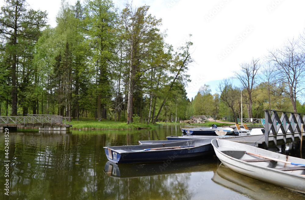 Empty wooden boats on the lake, rural view