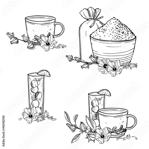  Hibiscus tea set.  Vector illustration.