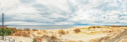 Sand dunes of the Curonian Spit in the cloudy weather with the sky covered with clouds on the shore of the Curonian Bay
