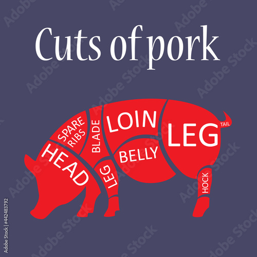 Pork red silhouette, pork cuts chart. Cuts of pork butcher chart.