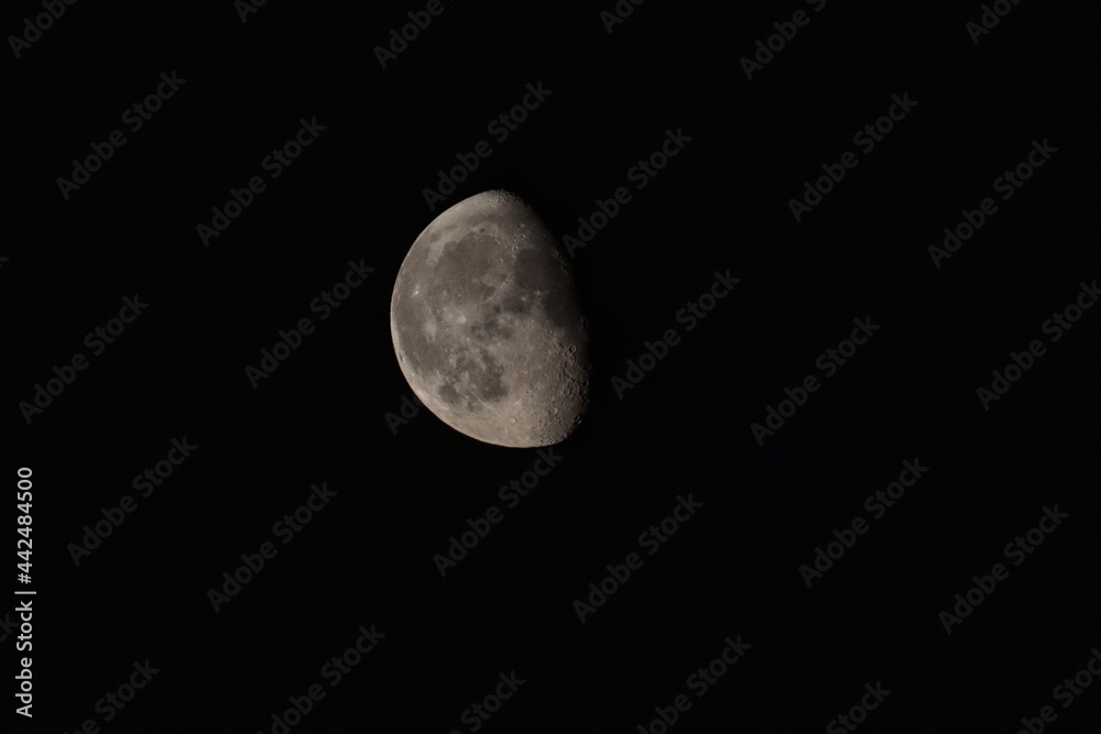 Fototapeta premium moon in the sky
