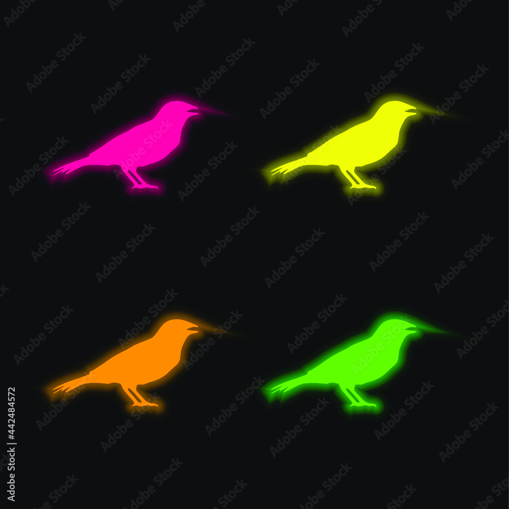 Obraz premium Anis Bird Shape four color glowing neon vector icon
