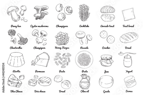 Vector food icons. Colored sketch of food products. Mushrooms, cheeses, pasta, bread, butter, yogurt