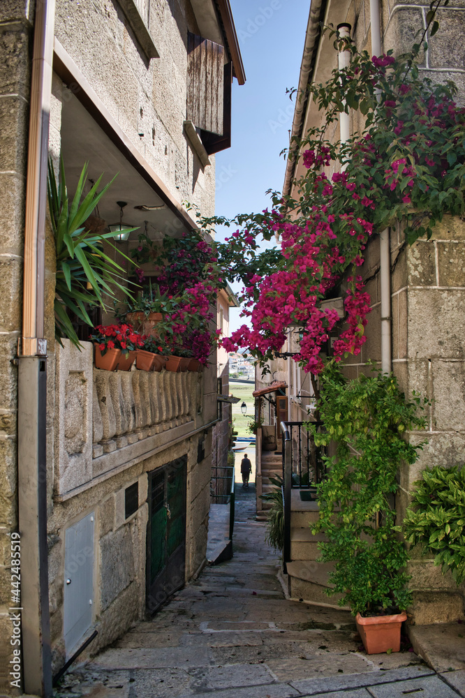 Estrecha y empinada calle peatonal adornada con macetas y flores en la villa gallega de Combarro, España