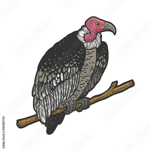 vulture perched on branch, black and white clip art preview