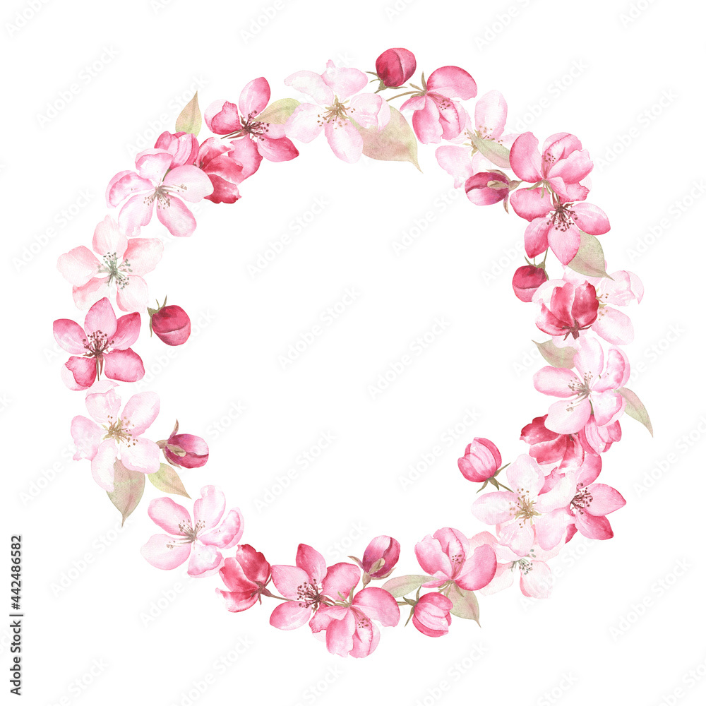 Apple blossom wreath; elements painted in watercolor, on white isolated background. For wedding invitations, cards, valentines, plates decor.