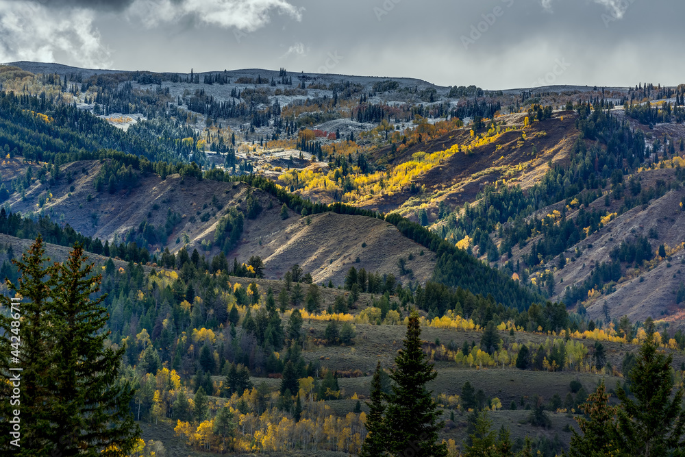Autumn Colours and the first snowfall of the season in Wyoming
