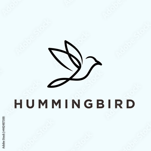 abstract bird logo. hummingbird icon
