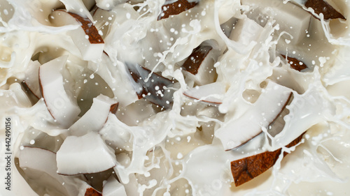 Throwing of coconut pieces ...