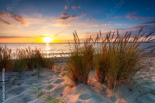 Fototapeta Naklejka Na Ścianę i Meble -  A beautiful sunset on the beach of the Sobieszewo Island at the Baltic Sea. Poland