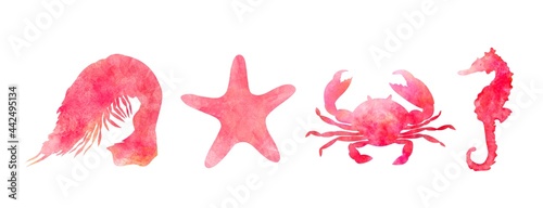 Set of aquarelle red sea animals on white background hand-drawn digital illustration: shrimp, starfish, crab, seahorse
