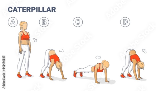 Girl Doing Caterpillar Walk Exercise Fitness Home Workout Guidance Illustration. Inchworm Walkouts. photo