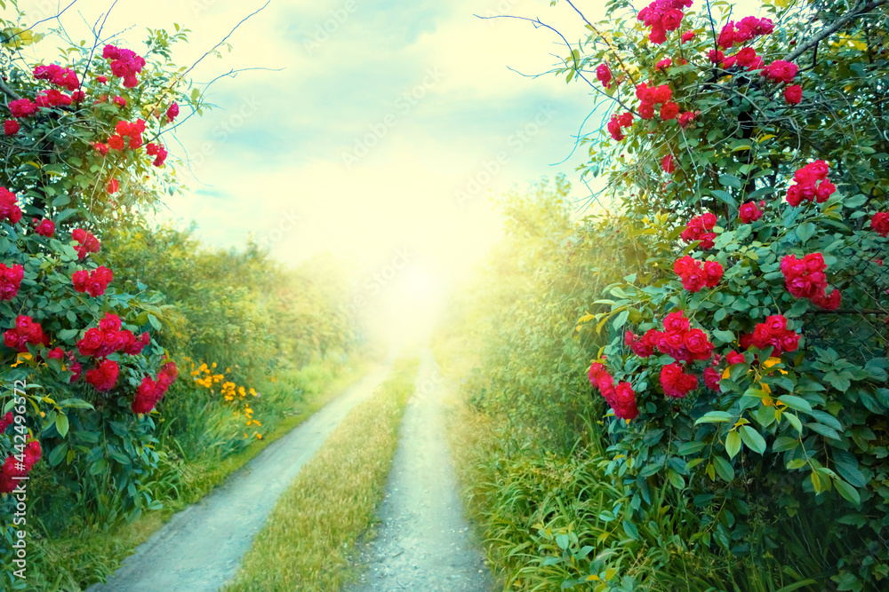 Fantasy art wallpaper spring nature. Summer backdrop fantasy path,  mysterious dirt road, mystical world, fairytale way green grass trees, bush  red roses magical light sunset. foliage garden background Stock Photo |  Adobe