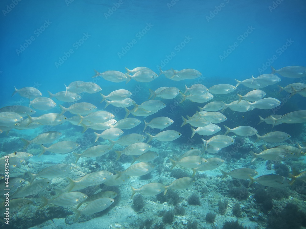 Fototapeta premium Cabo de Gata, Nijar, Almeria, Andalucia, España