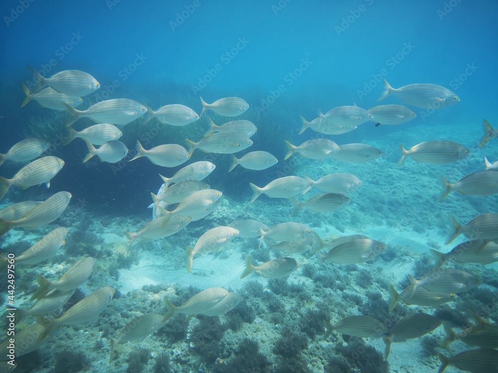 Fototapeta premium Cabo de Gata, Nijar, Almeria, Andalucia, España