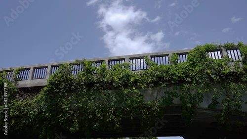 Wallpaper Mural Cityscape view from front of boat, Ljubljanica river. Navigating on river under the St James Bridge. Capital of Slovenia in hot summer day. Slow motion, forward dolly moving Torontodigital.ca