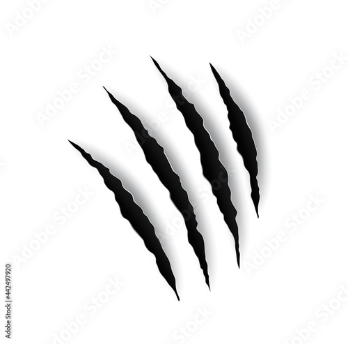 Beast claw marl scratches, tiger or animal paw nails marks, vector. Wild cat or lion and bear claw slashes, monster beast or werewolf attack paw scratches and shred traces, torn paper background