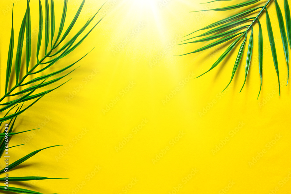 Yellow summer background with palm leaves-the theme of the beach, tropical holidays, hot sun. Frame, copy space.