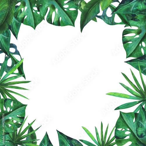 Botanical monstera leaf rectangle frame border. Botanical aquarelle clip art element illustration.