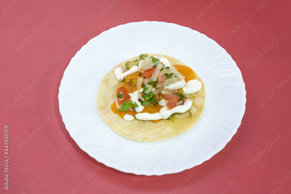 Taco with a lot of coriander, various sauces, onion and pico de gallo on a white plate Taco with a lot of coriander, various sauces, onion and pico de gallo on a white plate
