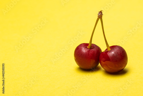 two cherry on yellow background