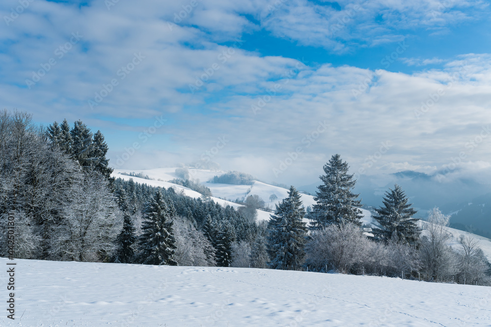 Obraz premium Mostviertel in winter