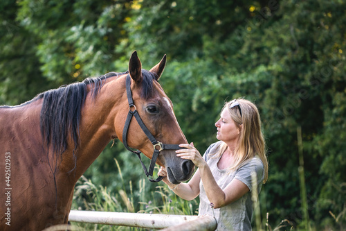 Woman with her horse on pasture. Friendship between people and animal. Brown thoroughbred horse outdoors