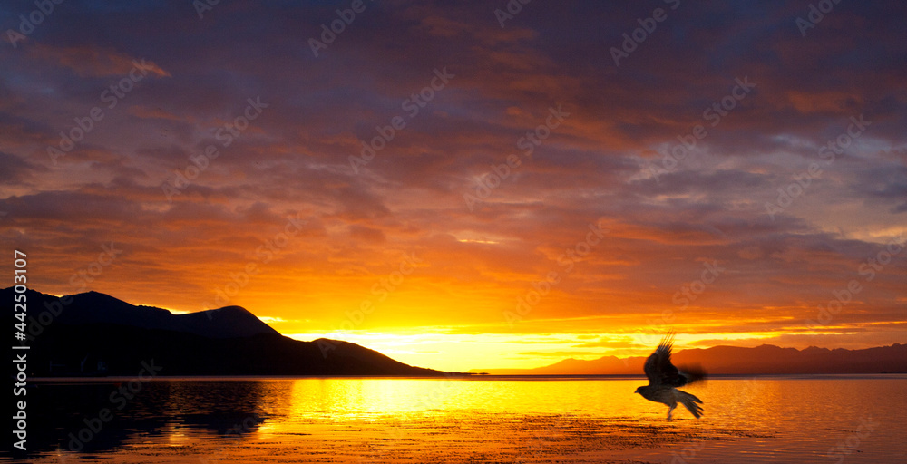 Ushuaia haven zonsopkomst; Ushuaia harbour sunset