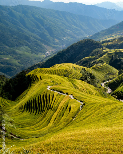 Photography Dragonsback rice terrace