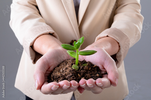 Midsection of caucasian businesswoman holding plant seedling, isolated on grey background