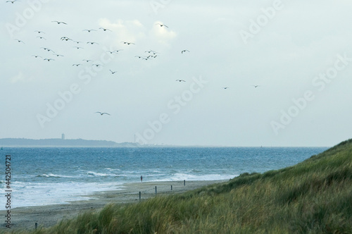 Waddeneiland Vlieland, Nederland / Nederlands