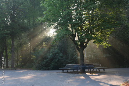Vondelpark Amsterdam, Netherlands