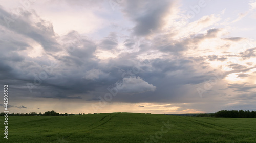 Summer landscape. Thunderclouds before the rain hang over the agricultural pasture with green grass. Horizontal photo. 