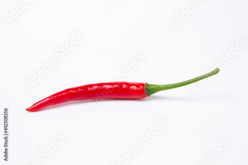 Red chili peppers on a white background