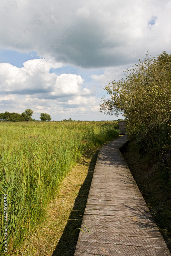 Weerribben, Overijssel, Netherlands